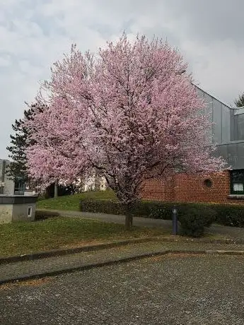 Photo de St.Markus