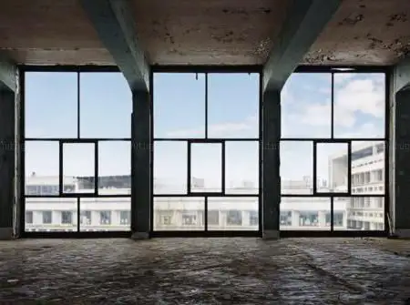 Photo de ELEVEN STEENS