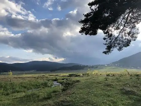 Photo de Sarıalan Yaylası