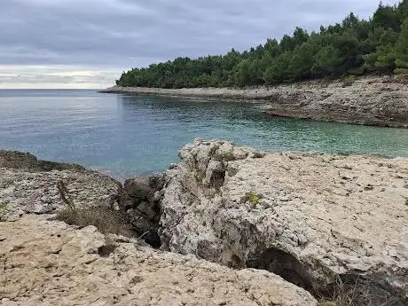 Photo de Beach Pinižule