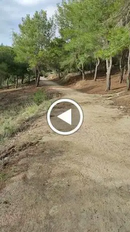 Photo de CamÃ­ del drac