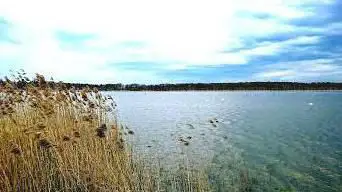 Photo de Réserve naturelle régionale des étangs de Belval-en-Argonne