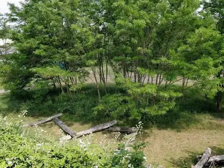 Photo de Driemasterpark