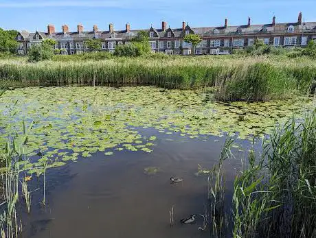 Photo de Cardiff Bay Wetlands