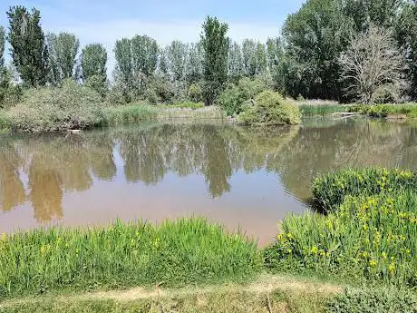 Photo de Mirador de fauna