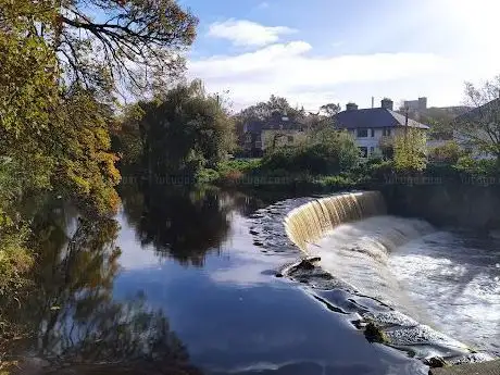 Photo de Dodder