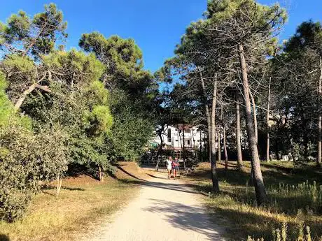 Photo de Pineta