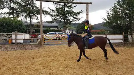 Greenvale Equestrian Centre