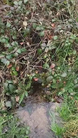 Photo de Aschaffquelle