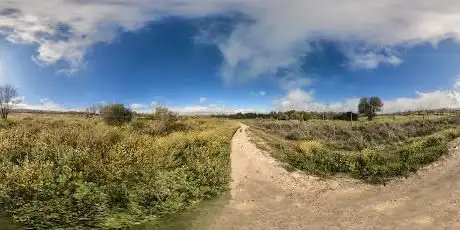 Photo de Corredor verde del Guadiamar (Sanlucar)