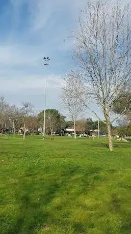 Photo de Susurluk Municipal Park