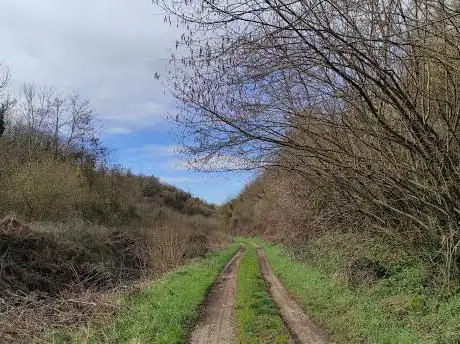 Photo de Percorso delle Fonti  Labico