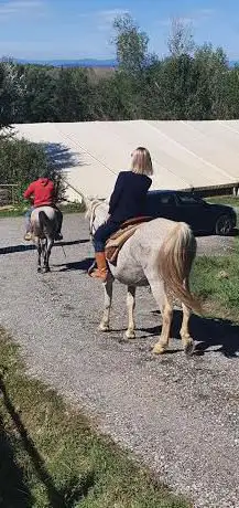 Photo de IL GELSOMINO RANCH