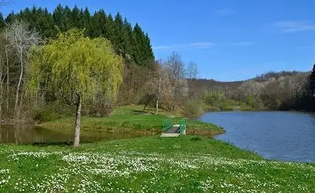 Photo de Malo jezero Borovik