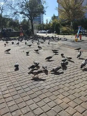 Photo de Metin Göktepe Parkı
