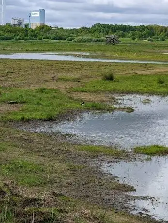 Photo de Trönninge Meadows