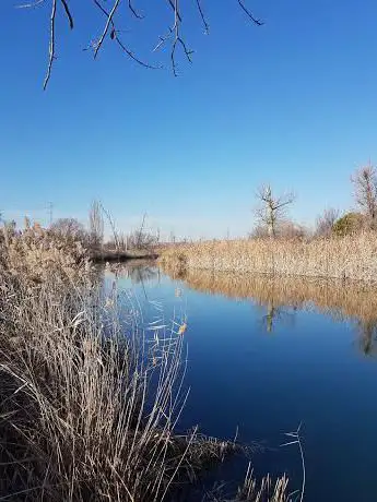 Photo de Embalse de El Embocador (Comunidad de Madrid)
