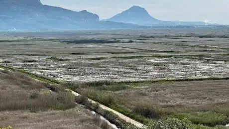 Photo de Mirador de la Muntanyeta Verda