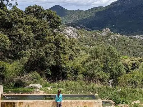 Photo de Ãrea Recreativa El Cintillo y Aguas Nuevas