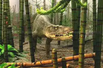 Photo de State Museum of Natural History Stuttgart