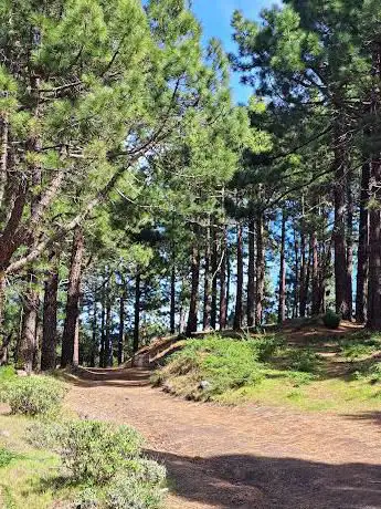 Photo de El Gaitero