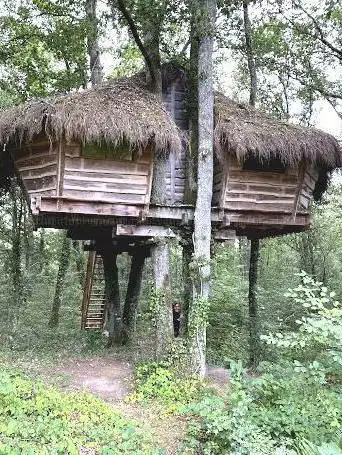 Photo de lierres Garden