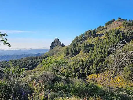 Photo de Hiking Caldera de los Marteles