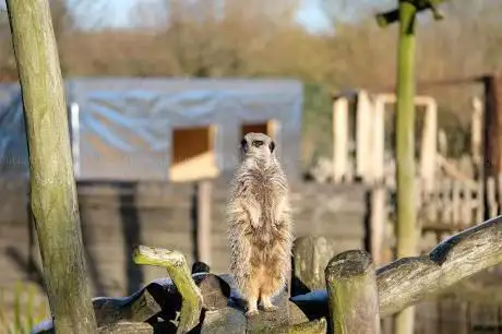 Photo of Hobbledown Adventure Farm Park and Zoo