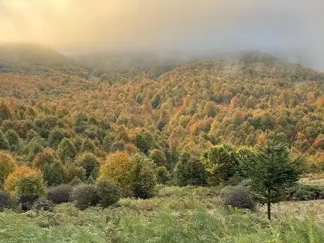 Photo de Ordu Aybastı