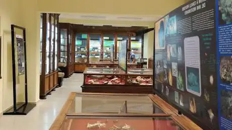 Photo de Museo di Scienze della Terra