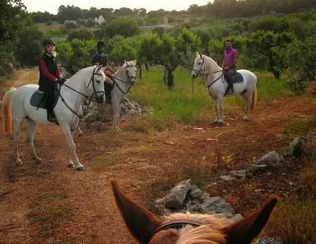 Photo de Maneggio