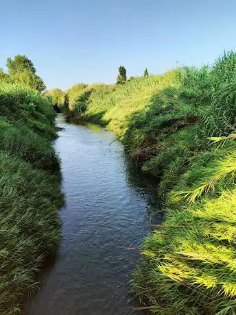 Photo de RÃo Túria fluvial park