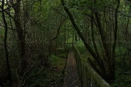 Photo de Stångby mosse