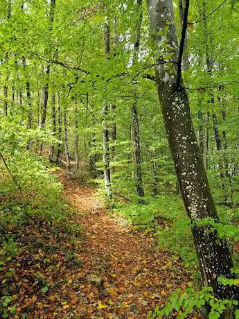 Photo de Chänzeli