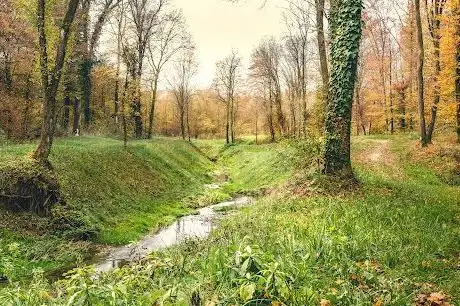 Photo de Potok Lužnica