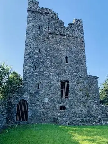 Termonfeckin Castle