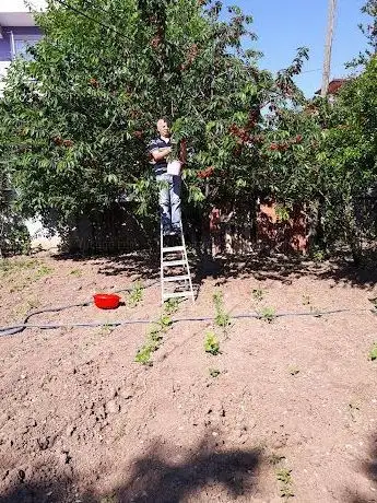 Photo de Çocuk Parkı