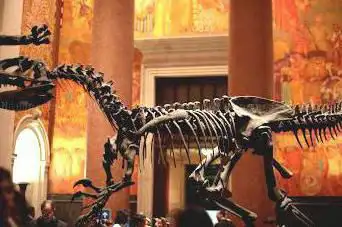 Photo de American Museum of Natural History