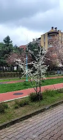 Photo de Dalyan Park