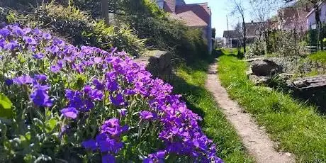 Photo de Le Weidbach