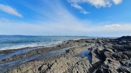 Photo de Seafield Pier and Beach