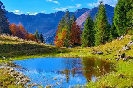 Photo de Malga Colinetta Di Sotto