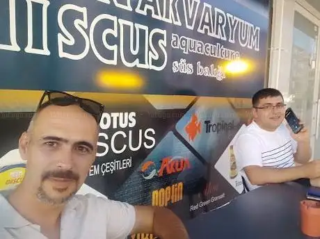 Photo de HANDİSCUS AKVARYUM