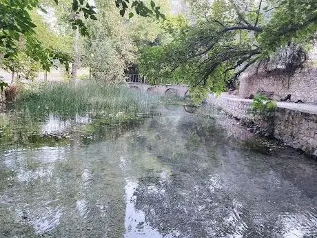 Photo de Kaniya Fekira