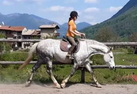 Photo de Asd Un Passo Alla Volta - Centro equestre Abbazia di Albino