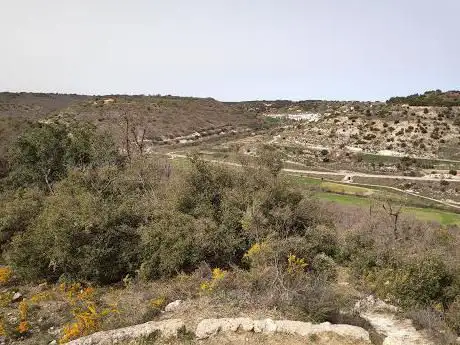 Photo de Mirador de la Encina