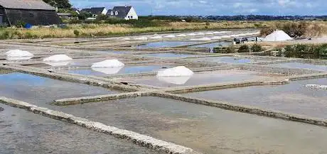 Photo de Marais salants en calèche