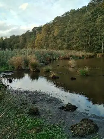 Photo de Hagg Pond
