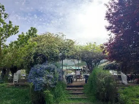 Photo de Agri Park Castel di Leva 371