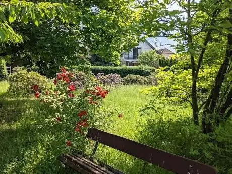 Photo de Rhododendron Park